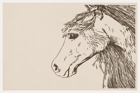 Horse . Line art. Printable pattern for wall decorations in a minimalist style. Cover design, logo, for tattoos.の写真素材