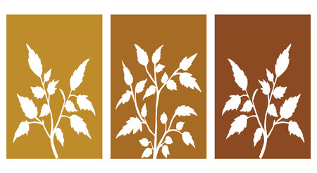 Set of 3 botanical pattern for printing on wall decorations in a contemporary style. For use in graphics, materials, covers, invitations, Happy Birthday cards.のイラスト素材