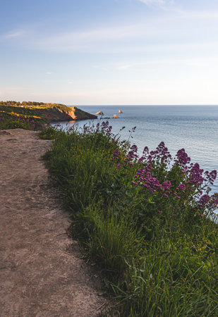 Brixham Devon UK. Beautiful seaside landscape on a sunny day.の写真素材