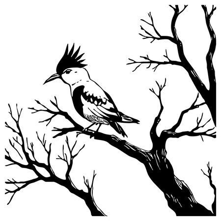 Black bird on a white background. Animals line art. Logo design for use in graphics. T-shirt print, tattoo design.の写真素材