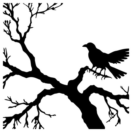 Black bird on a white background. Animals line art. Logo design for use in graphics. T-shirt print, tattoo design.の写真素材