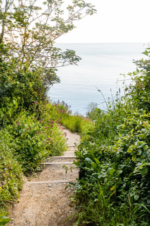 Brixham Devon, UK, Europe. Beautiful seaside panorama. Landscape by the sea on a sunny day.の写真素材