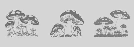 Mushrooms. Line art. Printable pattern for wall decorations in a minimalist style. Cover design, logo, for tattoos.の写真素材