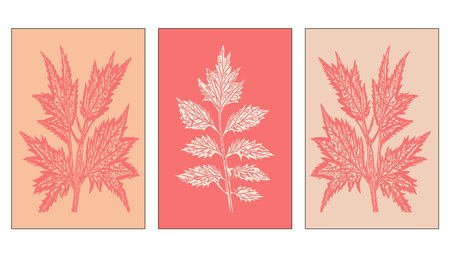 Set of 3 Botanical pattern in a fashionable color of 2024. Peach Fuzz. Design for covers, business cards, for printing on minimalist wall decorations.のイラスト素材