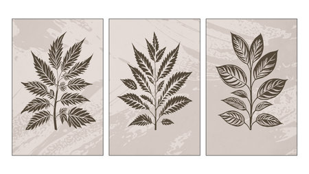 Set of 3 Printable trendy botanical card. Use for cover, wallpaper, wall art. Vintage grunge oldのイラスト素材