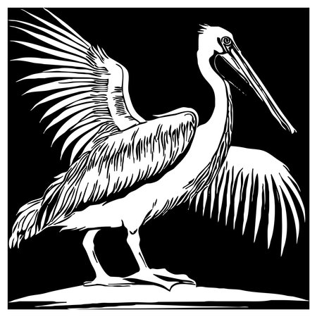 Pelican. Animals line art. Logo design for use in graphics. Print for T-shirts, design for tattoos.の写真素材