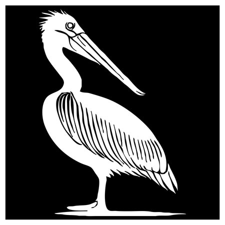 Pelican. Animals line art. Logo design for use in graphics. Print for T-shirts, design for tattoos.の写真素材