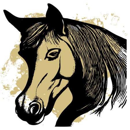 Black horse on a white background. Animal line art. Logo design, for use in graphics. Print for T-shirts, pattern for tattoos.の写真素材