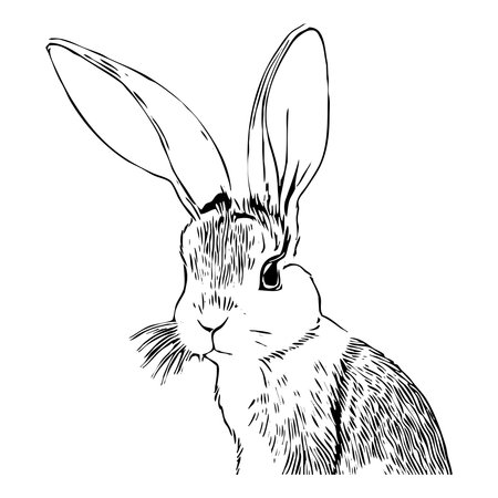 Rabbit . Black and white illustration. Logo design for use in graphics. T-shirt print, tattoo design. Generated by Aiの素材