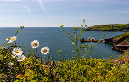 Beautiful seaside landscape on a sunny day. Brixham Devon UK.の写真素材