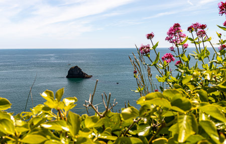 Beautiful seaside landscape on a sunny day. Brixham Devon UK.