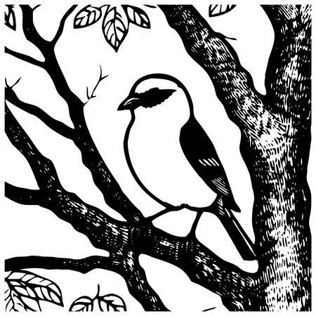 Bird . Animal black and white illustration. Logo design, for use in graphics.の写真素材