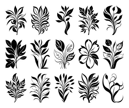 Black and white botanical pattern. For use in graphics, materials. Abstract plant shapes. Minimalist illustration for printing on wall decorations.のイラスト素材