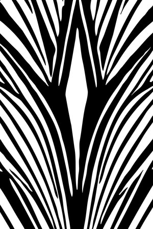 Abstract black and white pattern. For use in graphics. Minimalist illustration for printing on wall decorationsの写真素材
