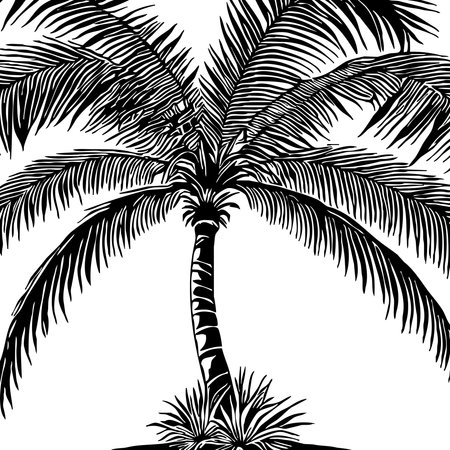 Palm tree. Black and white illustration. Logo design for use in graphics. T-shirt print, tattoo design.の写真素材