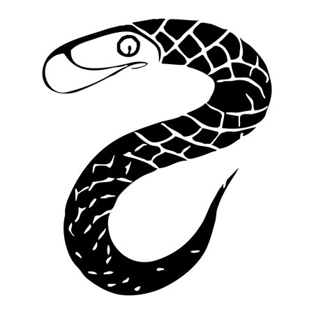 Snake . Black and white illustration. Pattern for tattoos, for use in graphics.の写真素材