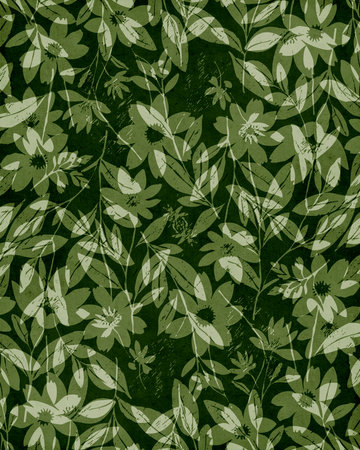 Printable botanical illustration. Rustic style home decor, wall decoration, picture in the frame. Grunge, vintage illustration.の写真素材