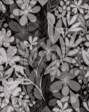 Printable botanical illustration. Rustic style home decor, wall decoration, picture in the frame. Grunge, vintage illustration.の写真素材