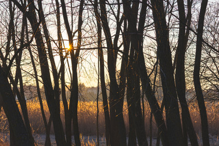 Sunrise over the lake. Sunny March morning.