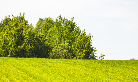 Landscape in the countryside on a sunny May day.の写真素材