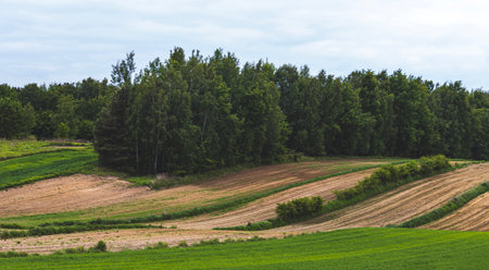 Landscape in the countryside on a sunny May day.