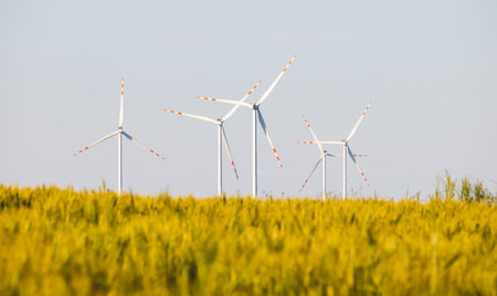 Landscape in the countryside on a sunny June day.