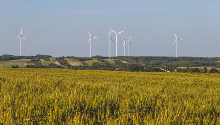 Landscape in the countryside on a sunny June day.