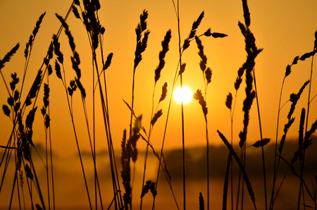 sunraise in the village, rural landscapeの写真素材