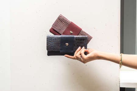 Two wallets in the hands of a girl on a wall backgroundの写真素材