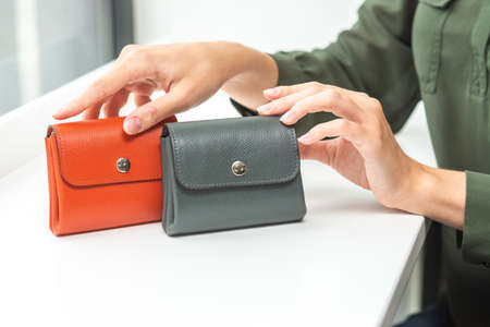 Two wallets in the hands of a girlの写真素材