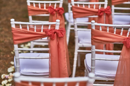 Chic outdoor setting features elegant white chairs adorned with coral fabric bows, inviting and detailed seating design for celebration, festive seating conceptの写真素材