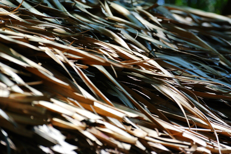 Roofs made of leaves