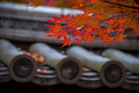Autumn colour season in Nanzenji temple, Kyoto.