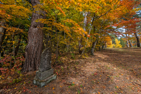 Autumn color season around Josen-ji temple, Aomori, Japan.の写真素材