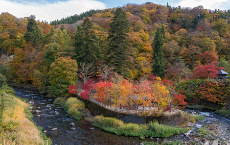 Fudo stream in autumn season at Nakano momiji mountain, Kuroishi, Aomori, Japan.の写真素材