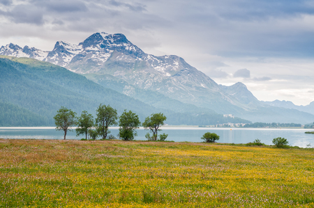 Landscape view at lake Silvaplana, St.Moritz, Switzerland.の写真素材