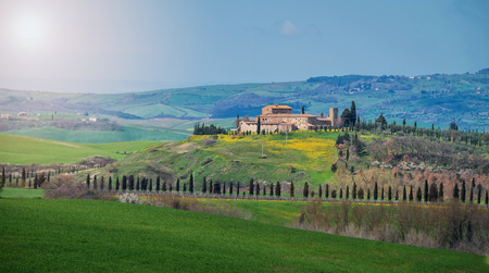 Tuscany and green field in summer season.の写真素材