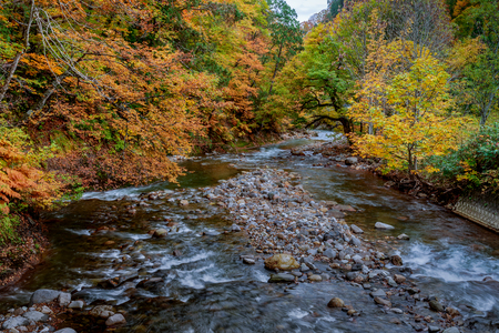 Small river with beautiful autumn season in Akita, Japan.の写真素材
