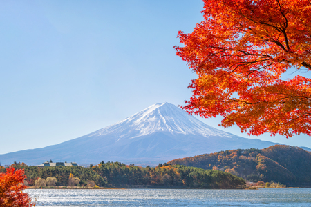 Fuji mountain and red maple trees at lake Kawaguchiko, Japan.の写真素材
