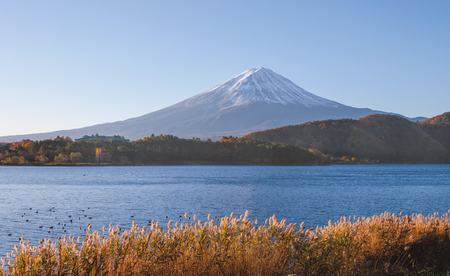Fuji mountain and lake Kawaguchiko in autumn season, Japan.の写真素材