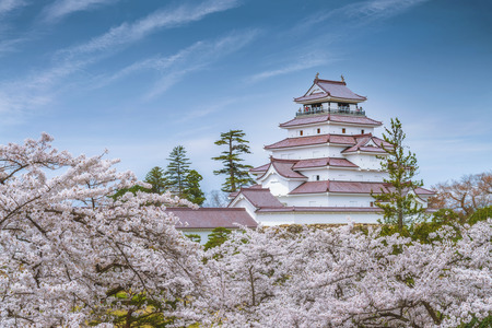 Beautiful cherry blossom full blooming around the Tsurugajo castle, Fukushima, Japan.のeditorial素材