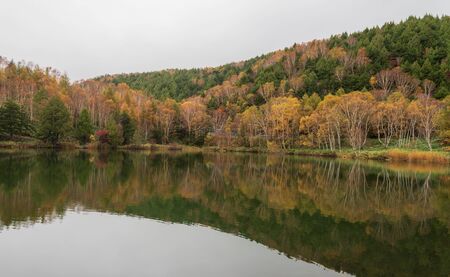Kido-ike pond , reflection pond in autumn season at Nagano, Japan.の写真素材