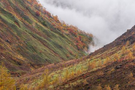 Beautiful autumn scenery on mountain road at Kusatsu Shiga Kogen highway, Gunma, Japan.の写真素材