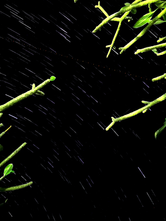 Black sky at night with stars