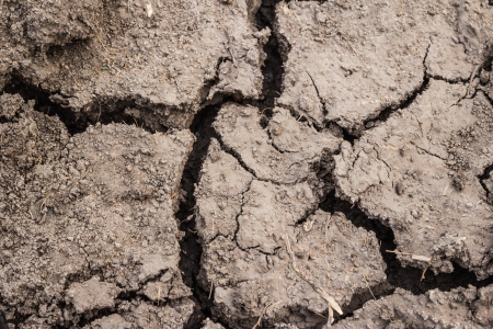 Close up of dry cracked earth a detailed background textureの写真素材