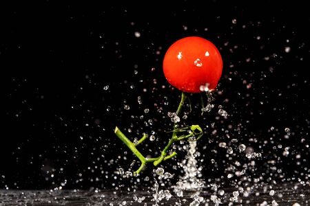 fresh vegetables with drops of water on a black backgroundの写真素材
