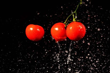 fresh vegetables with drops of water on a black backgroundの写真素材