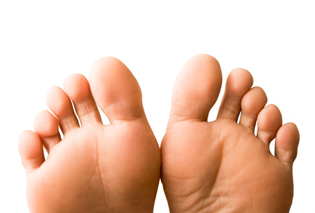 a pair of female feet isolated on white backgroundの写真素材
