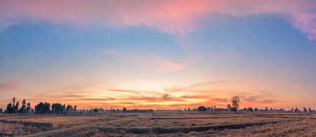 Rural landscape the fields at sunrise morning and beautiful sky.の写真素材