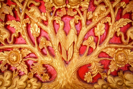 Pattern of animal and tree carved on wood background の写真素材